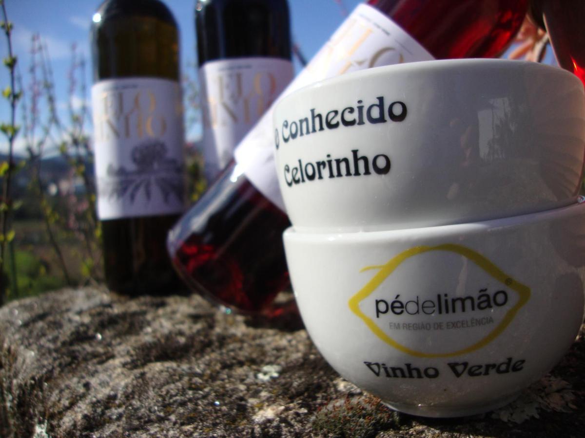 Quinta De Carcavelos Agroturismo E Enoturismo Celorico De Basto Kültér fotó