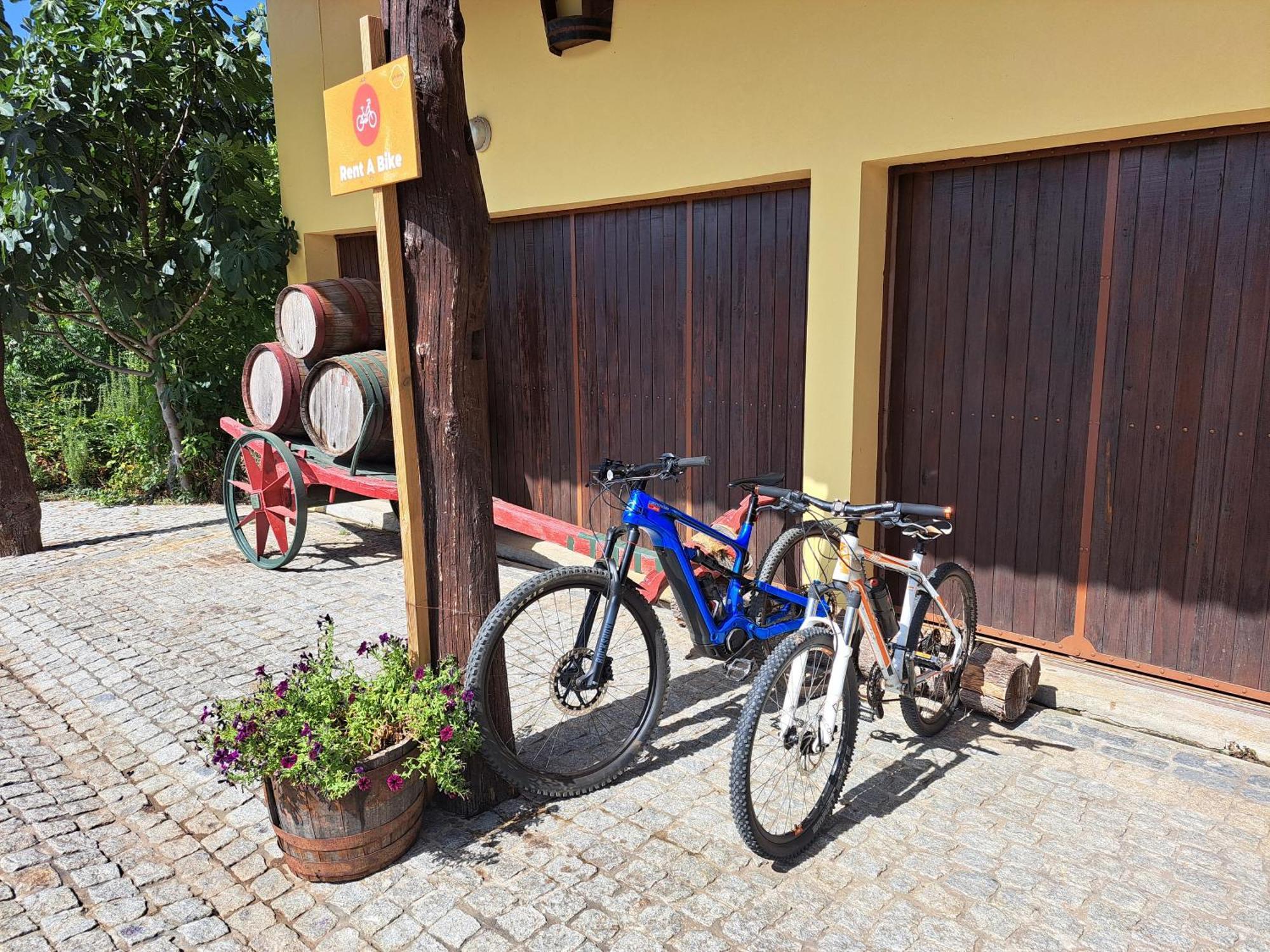 Quinta De Carcavelos Agroturismo E Enoturismo Celorico De Basto Kültér fotó